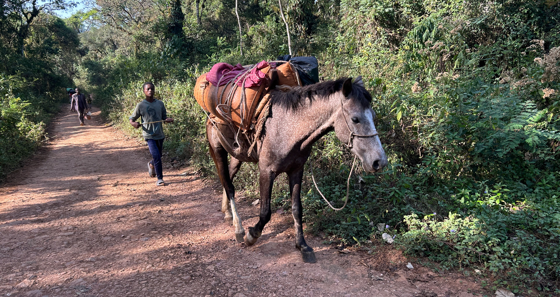 ETH_FarmerDonkey_RouteMarket_001.jpg