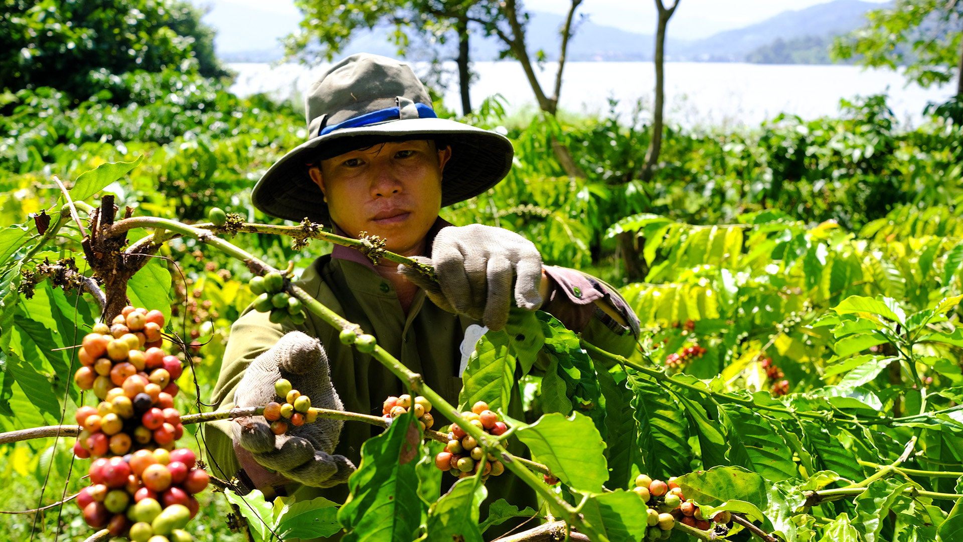 Vietnam