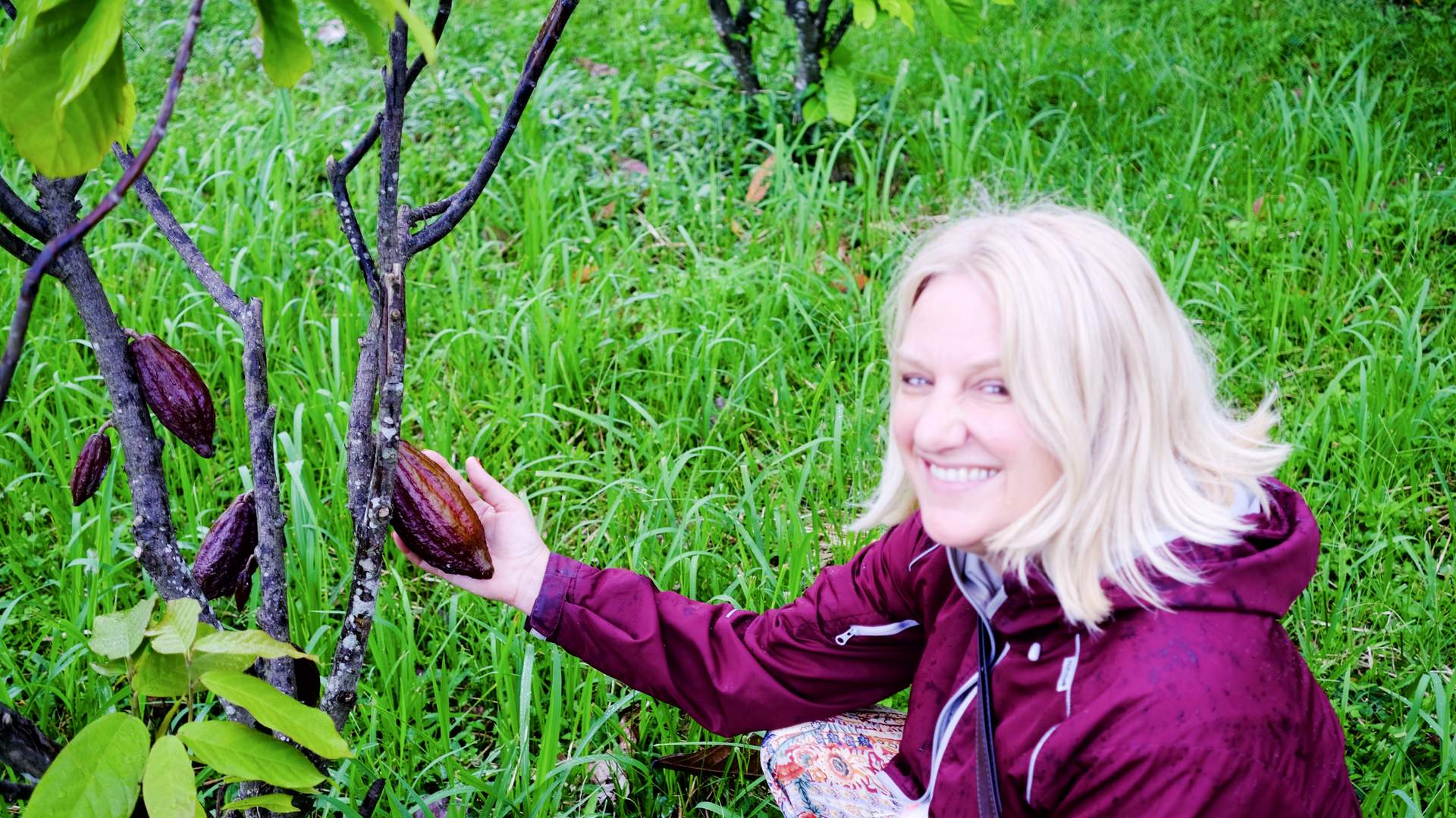 Alice examines ripe cacao pods on a family farm in Vietnam&rsquo;s Central Highlands where cacao grows alongside coffee